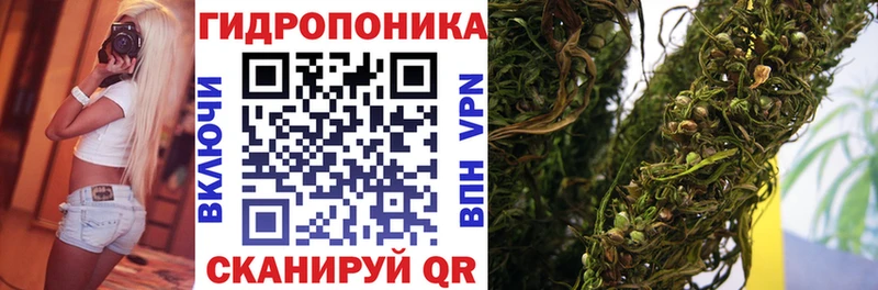 Канабис гибрид Давлеканово